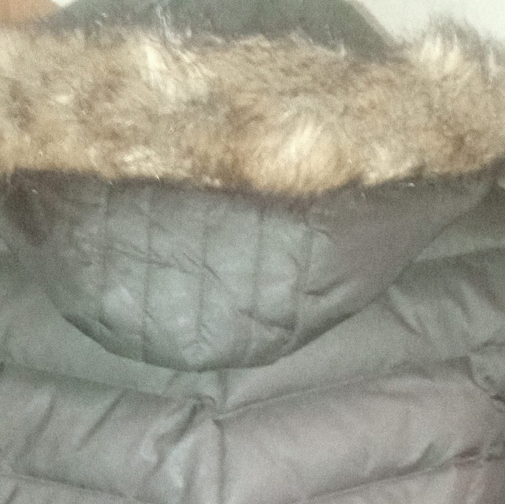 Puffer Jacket - Picture 4 of 9